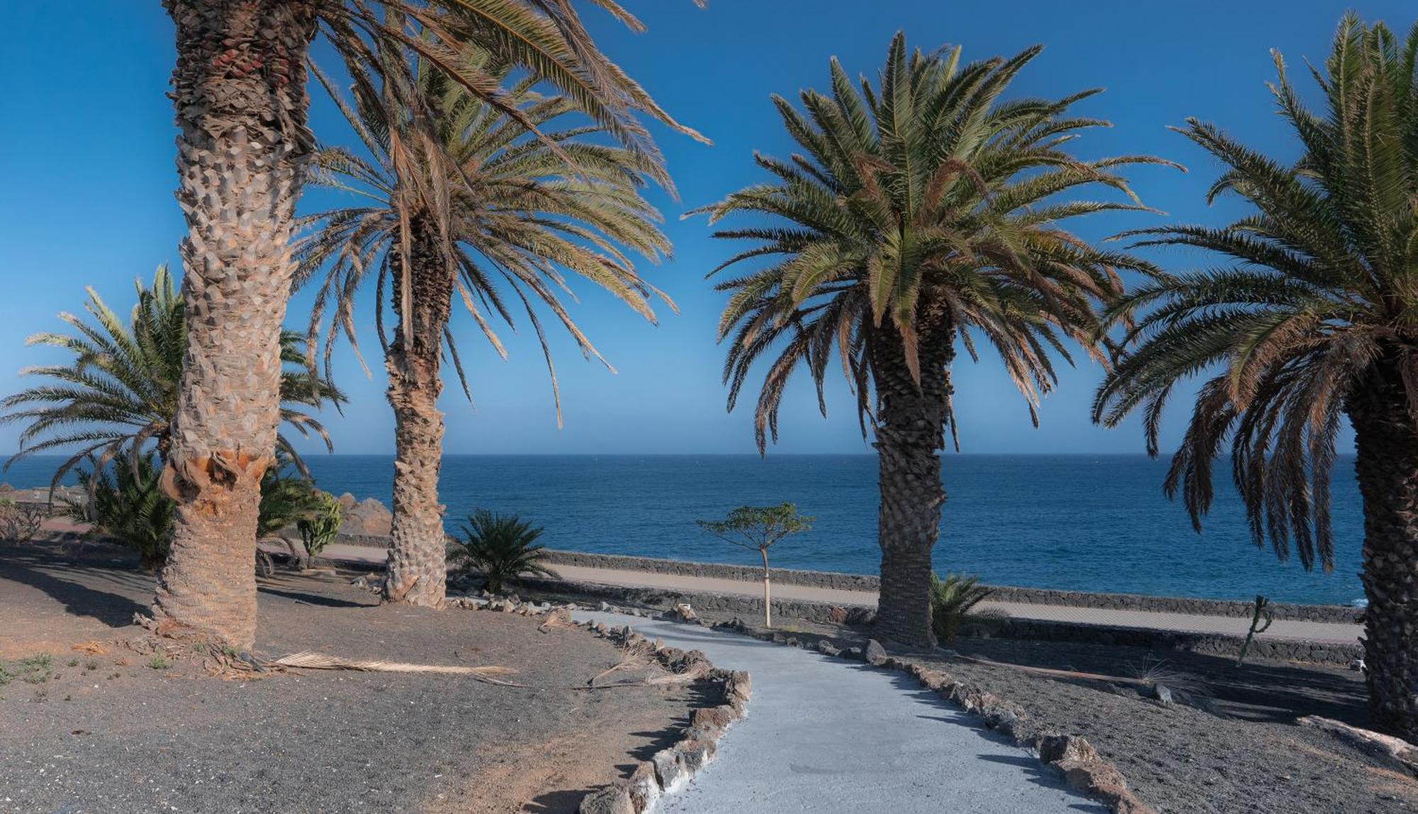 Luxury Apartamento Luz De Mar Complejo Playa Roca Costa Teguise Exteriör bild